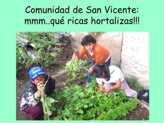 Comunidad de San Vicente:
mmm..qué ricas hortalizas!!!
 