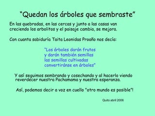 “Quedan los árboles que sembraste”
En las quebradas, en las cercas y junto a las casas van
creciendo los arbolitos y el paisaje cambia, se mejora.
Con cuanta sabiduría Taita Leonidas Proaño nos decía:
“Los árboles darán frutos
y darán también semillas
las semillas cultivadas
convertiránse en árboles”
Y así seguimos sembrando y cosechando y al hacerlo viendo
reverdecer nuestra Pachamama y nuestra esperanza.
Así, podemos decir a voz en cuello "otro mundo es posible”!
Quito abril 2006
 