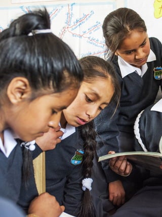 16
Programa curricular de Educación Primaria
 