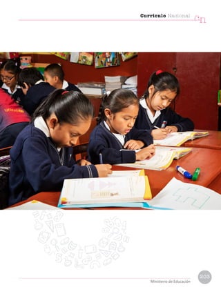 Currículo Nacional
cn
Ministerio de Educación
203
 