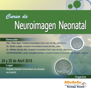 Programa curso neuroimagen neonatal