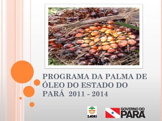PROGRAMA DA PALMA DE
ÓLEO DO ESTADO DO
PARÁ 2011 - 2014
 