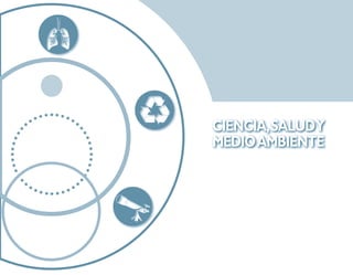 Programa De 4 (Segunda VersióN)