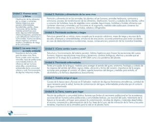 Programa De 4 (Segunda VersióN)