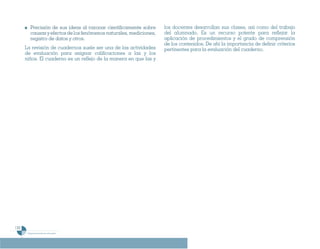 Programa De 4 (Segunda VersióN)