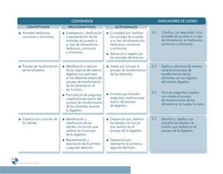 Programa De 4 (Segunda VersióN)