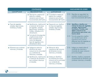 Programa De 4 (Segunda VersióN)