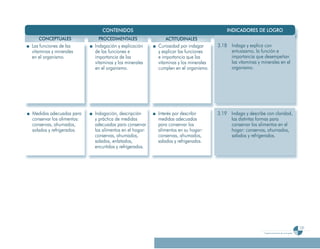 Programa De 4 (Segunda VersióN)