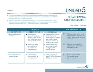 Programa De 4 (Segunda VersióN)