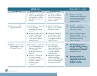 Programa De 4 (Segunda VersióN)