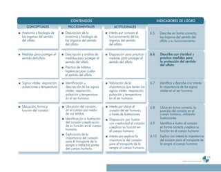Programa De 4 (Segunda VersióN)