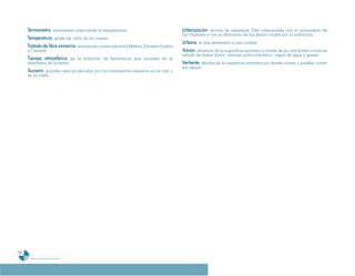 Programa De 4 (Segunda VersióN)