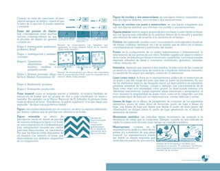 Programa De 4 (Segunda VersióN)