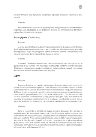 141



provocar falhas no local da cultura, obrigando o agricultor a realizar o replantio na área
atacada.

      Controle

      Recomendam-se tratos culturais que assegurem boa germinação da cultura mediante
preparo do solo, adubação e época de plantio, devendo ser eliminadas ervas daninhas e
culturas hospedeiras remanescentes.

Broca-gigante (Castnia licus)

      Prejuízos

       A broca-gigante é hoje uma das principais pragas da cana-de-açúcar no Nordeste do
Brasil, principalmente em áreas em que a cana é colhida crua. O sintoma mais característico
do ataque desta praga em canas jovens é a morte do broto terminal e, em canas adultas,
é o amarelecimento da nervura central e ataque ao colmo.

      Controle

     A larva da Castnia vive no interior da cana e sobrevive de uma safra para outra, o
que dificulta o seu controle com inseticidas, não havendo, também, controle biológico.
Atualmente, esta praga vem sendo controlada por meio de catação manual, com a ajuda
de uma haste de metal introduzida na base da planta.

Cupim

      Prejuízos

      Em cana-de-açúcar, as espécies subterrâneas de cupins são as mais importantes
porque atacam partes vitais das plantas, como toletes recém-plantados, sistema radicular
e entrenós basais da cana em desenvolvimento ou na maturidade e soqueiras. No Estado
do Rio de Janeiro, o ataque de cupins tem sido uma preocupação para os produtores de
cana-de-açúcar, principalmente quando se trata de cultivo mínimo. Os solos mais arenosos
são mais propensos a sua existência. O ataque severo de cupins causa muitas falhas nos
canaviais, prejudicando significativamente a produção, contribuindo também para o
aumento das infestações de invasoras, cujo controle aumenta muito os custos de produção.

      Controle

      Para se recomendar o controle de cupins em cana-de-açúcar, deve-se fazer o
monitoramento das áreas com o emprego de iscas cilíndricas de padrão ondulado para
levantamento dos níveis de infestação. Essa prática deve ser adotada em áreas de renovação
logo após a colheita. Áreas com níveis de infestação acima de 30% requerem cuidados no
seu controle. Um dos métodos práticos é se fazer o revolvimento do solo com arado ou
grade pesada a uma profundidade maior, em torno de 30 cm, no período seco do ano. Se
a infestação for muito intensa, é aconselhável o controle químico, cuja recomendação e
orientação deve ser feita por um técnico.
 
