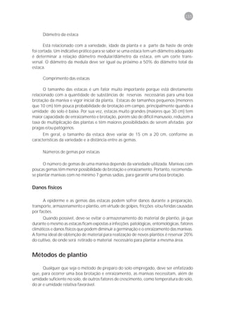 155



     Diâmetro da estaca

       Está relacionado com a variedade, idade da planta e a parte da haste de onde
foi cortada. Um indicativo prático para se saber se uma estaca tem um diâmetro adequado
é determinar a relação diâmetro medular/diâmetro da estaca, em um corte trans-
versal. O diâmetro da medula deve ser igual ou próximo a 50% do diâmetro total da
estaca.

     Comprimento das estacas

      O tamanho das estacas é um fator muito importante porque está diretamente
relacionado com a quantidade de substâncias de reservas necessárias para uma boa
brotação da maniva e vigor inicial da planta. Estacas de tamanhos pequenos (menores
que 10 cm) têm pouca probabilidade de brotação em campo, principalmente quando a
umidade do solo é baixa. Por sua vez, estacas muito grandes (maiores que 30 cm) tem
maior capacidade de enraizamento e brotação, porém são de difícil manuseio, reduzem a
taxa de multiplicação das plantas e têm maiores possibilidades de serem afetadas por
pragas e/ou patógenos.
      Em geral, o tamanho da estaca deve variar de 15 cm a 20 cm, conforme as
características da variedade e a distância entre as gemas.

     Números de gemas por estacas

      O número de gemas de uma maniva depende da variedade utilizada. Manivas com
poucas gemas têm menor possibilidade de brotação e enraizamento. Portanto, recomenda-
se plantar manivas com no mínimo 7 gemas sadias, para garantir uma boa brotação.

Danos físicos

      A epiderme e as gemas das estacas podem sofrer danos durante a preparação,
transporte, armazenamento e plantio, em virtude de golpes, fricções e/ou feridas causadas
por facões.
      Quando possível, deve-se evitar o armazenamento do material de plantio, já que
durante o mesmo as estacas ficam expostas a infecções patológicas, entomológicas, fatores
climáticos e danos físicos que podem diminuir a germinação e o enraizamento das manivas.
A forma ideal de obtenção de material para realização de novos plantios é reservar 20%
do cultivo, de onde será retirado o material necessário para plantar a mesma área.


Métodos de plantio

      Qualquer que seja o método de preparo do solo empregado, deve ser enfatizado
que, para ocorrer uma boa brotação e enraizamento, as manivas necessitam, além de
umidade suficiente no solo, de outros fatores de crescimento, como temperatura do solo,
do ar e umidade relativa favorável.
 