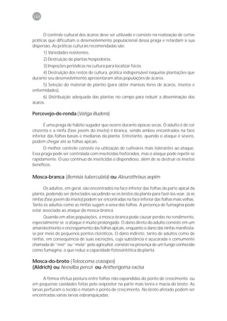 164



      O controle cultural dos ácaros deve ser utilizado e consiste na realização de certas
práticas que dificultam o desenvolvimento populacional dessa praga e retardam a sua
dispersão. As práticas culturais recomendadas são:
      1) Variedades resistentes.
      2) Destruição de plantas hospedeiras.
      3) Inspeções periódicas na cultura para localizar focos.
     4) Destruição dos restos de cultura, prática indispensável naquelas plantações que
durante seu desenvolvimento apresentaram altas populações de ácaros.
     5) Seleção do material de plantio (para obter manivas livres de ácaros, insetos e
enfermidades).
      6) Distribuição adequada das plantas no campo para reduzir a disseminação dos
ácaros.

Percevejo-de-renda (Vatiga illudens)

       É uma praga de hábito sugador que ocorre durante épocas secas. O adulto é de cor
cinzenta e a ninfa (fase jovem do inseto) é branca, sendo ambos encontrados na face
inferior das folhas basais e medianas da planta. Entretanto, quando o ataque é severo,
podem chegar até as folhas apicais.
      O melhor controle consiste na utilização de cultivares mais tolerantes ao ataque.
Essa praga pode ser controlada com inseticidas fosforados, mas o ataque pode repetir-se
rapidamente. O uso contínuo de inseticidas é dispendioso, além de se destruir os insetos
benéficos.

Mosca-branca (Bemisia tuberculata) ou Aleurothrixus aepim

      Os adultos, em geral, são encontrados na face inferior das folhas da parte apical da
planta, podendo ser detectados sacudindo-se os brotos da planta para fazê-los voar. Já as
ninfas (fase jovem do inseto) podem ser encontradas na face inferior das folhas mais velhas.
Tanto os adultos como as ninfas sugam a seiva das folhas. A presença de fumagina pode
estar associada ao ataque da mosca-branca.
      Quando em altas populações, a mosca-branca pode causar perdas no rendimento,
especialmente se o ataque é muito prolongado. O dano direto do adulto consiste em um
amarelecimento e encrespamento das folhas apicais, enquanto o dano das ninfas manifesta-
se por meio de pequenos pontos cloróticos. O dano indireto, tanto de adultos como de
ninfas, em conseqüência de suas excreções, cuja substância é açucarada e comumente
chamada de “mel” ou “mela” pelo agricultor, consiste na presença de um fungo conhecido
como fumagina, o que reduz a capacidade fotossintética da planta.

Mosca-do-broto (Teleocoma crassipes)
(Aldrich) ou Neosilba perezi ou Antherigoma excisa

      A fêmea efetua postura entre folhas não expandidas do ponto de crescimento ou
em pequenas cavidades feitas pelo ovipositor na parte mais tenra e macia do broto. As
larvas perfuram o tecido e matam o ponto de crescimento. No broto afetado podem ser
encontradas várias larvas esbranquiçadas.
 