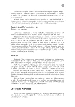 165



      A morte do broto pode retardar o crescimento normal das plantas jovens, romper a
dominância apical e induzir a emissão de gemas laterais que também podem ser atacadas.
As plantas mais jovens são mais suscetíveis, e os ataques repetidos podem ocasionar o
nanismo da planta.
      Recomenda-se o uso de práticas culturais adequadas, como a destruição dos brotos
atacados, plantio fora da época de ataque (se realmente a praga é importante na região)
e plantio intercalado com outras culturas, para reduzir a incidência da praga.

Broca-do-caule (Sternocoelus spp.) ou
Tropidozineus fulveolus

     As larvas são encontradas no interior das hastes, sendo o ataque detectado pela
presença de excrementos e de um pó fino que saem das galerias feitas pelo inseto.
       Não é aconselhável o controle com inseticidas, pois as larvas se alimentam no interior
das hastes. Recomenda-se observar periodicamente a cultura, especialmente durante o
verão. As hastes atacadas devem ser cortadas e destruídas, a fim de evitar o
desenvolvimento das larvas. As populações da praga podem ser reduzidas pelo uso de
práticas culturais adequadas, como remoção e queima das partes ou plantas infestadas,
mantendo o mandiocal limpo. Recomenda-se também a utilização de manivas sadias para
o plantio, o que deve ser feito por meio de uma seleção criteriosa, procurando sempre
utilizar material proveniente de plantações onde não houve ataque da praga. Usar ainda
cultivares menos preferidas pela broca.

Formigas

      Podem desfolhar rapidamente as plantas quando a infestação por formigas ocorre
em altas populações e/ou não controladas. Esses insetos fazem um corte semicircular na
folha, podendo também atingir as gemas quando os ataques são severos.
       Os formigueiros podem ser distinguidos facilmente no campo, pelos montículos de
terra que são formados em volta do orifício de entrada. O ataque ocorre geralmente durante
os primeiros meses de crescimento da cultura e seus efeitos provoca perdas de até
22,3% sobre o rendimento. Entretanto, sabe-se que a acumulação de carboidratos nas
raízes depende da atividade fotossintética que ocorre no sistema foliar e, assim, qualquer
distúrbio nessa parte da planta pode prejudicar a quantidade de substâncias amiláceas
elaboradas.
      Deve-se efetuar o controle logo que se observem plantas com folhas e pecíolos
cortados. Os insetos podem ser destruídos dento do ninho, por meio de fumigação, feita
nas épocas chuvosas. O uso de isca granulada, colocada ao longo dos caminhos deixados
pelas formigas, durante épocas secas, faz um bom controle.


Doenças da mandioca

     Dentre as doenças da mandioca que provocam prejuízos econômicos, destacam-se,
como as mais importantes: podridão radicular, bacteriose, superbrotamento,
superalongamento e viroses.
 