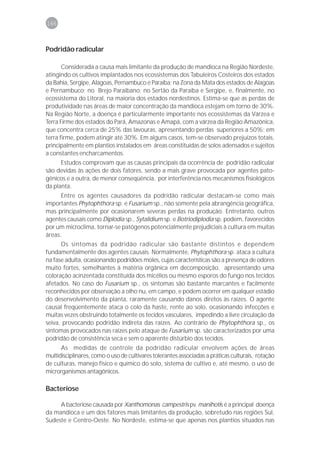 166



Podridão radicular

       Considerada a causa mais limitante da produção de mandioca na Região Nordeste,
atingindo os cultivos implantados nos ecossistemas dos Tabuleiros Costeiros dos estados
da Bahia, Sergipe, Alagoas, Pernambuco e Paraíba; na Zona da Mata dos estados de Alagoas
e Pernambuco; no Brejo Paraibano; no Sertão da Paraíba e Sergipe, e, finalmente, no
ecossistema do Litoral, na maioria dos estados nordestinos. Estima-se que as perdas de
produtividade nas áreas de maior concentração da mandioca estejam em torno de 30%.
Na Região Norte, a doença é particularmente importante nos ecossistemas da Várzea e
Terra Firme dos estados do Pará, Amazonas e Amapá, com a várzea da Região Amazônica,
que concentra cerca de 25% das lavouras, apresentando perdas superiores a 50%; em
terra firme, podem atingir até 30%. Em alguns casos, tem-se observado prejuízos totais,
principalmente em plantios instalados em áreas constituídas de solos adensados e sujeitos
a constantes encharcamentos.
      Estudos comprovam que as causas principais da ocorrência de podridão radicular
são devidas às ações de dois fatores, sendo a mais grave provocada por agentes pato-
gênicos e a outra, de menor conseqüência, por interferência nos mecanismos fisiológicos
da planta.
      Entre os agentes causadores da podridão radicular destacam-se como mais
importantes Phytophthora sp. e Fusarium sp., não somente pela abrangência geográfica,
mas principalmente por ocasionarem severas perdas na produção. Entretanto, outros
agentes causais como Diplodia sp., Sytalidium sp. e Botriodiplodia sp. podem, favorecidos
por um microclima, tornar-se patógenos potencialmente prejudiciais à cultura em muitas
áreas.
      Os sintomas da podridão radicular são bastante distintos e dependem
fundamentalmente dos agentes causais. Normalmente, Phytophthora sp. ataca a cultura
na fase adulta, ocasionando podridões moles, cujas características são a presença de odores
muito fortes, semelhantes à matéria orgânica em decomposição, apresentando uma
coloração acinzentada constituída dos micélios ou mesmo esporos do fungo nos tecidos
afetados. No caso do Fusarium sp., os sintomas são bastante marcantes e facilmente
reconhecidos por observação a olho nu, em campo, e podem ocorrer em qualquer estádio
do desenvolvimento da planta, raramente causando danos diretos às raízes. O agente
causal freqüentemente ataca o colo da haste, rente ao solo, ocasionando infecções e
muitas vezes obstruindo totalmente os tecidos vasculares, impedindo a livre circulação da
seiva, provocando podridão indireta das raízes. Ao contrário de Phytophthora sp., os
sintomas provocados nas raízes pelo ataque de Fusarium sp. são caracterizados por uma
podridão de consistência seca e sem o aparente distúrbio dos tecidos.
      As medidas de controle da podridão radicular envolvem ações de áreas
multidisciplinares, como o uso de cultivares tolerantes associadas a práticas culturais, rotação
de culturas, manejo físico e químico do solo, sistema de cultivo e, até mesmo, o uso de
microrganismos antagônicos.

Bacteriose

     A bacteriose causada por Xanthomonas campestris pv. manihotis é a principal doença
da mandioca e um dos fatores mais limitantes da produção, sobretudo nas regiões Sul,
Sudeste e Centro-Oeste. No Nordeste, estima-se que apenas nos plantios situados nas
 