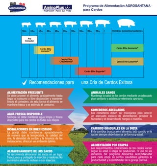 Programa de Alimentacion Para Cerdos AGROSANTANA | PDF