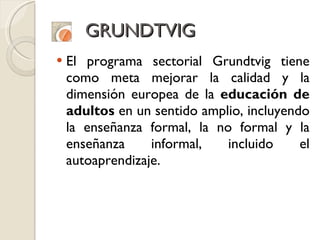 GRUNDTVIG El programa sectorial Grundtvig tiene como meta mejorar la calidad y la dimensión europea de la  educación de adultos  en un sentido amplio, incluyendo la enseñanza formal, la no formal y la enseñanza informal, incluido el autoaprendizaje.  