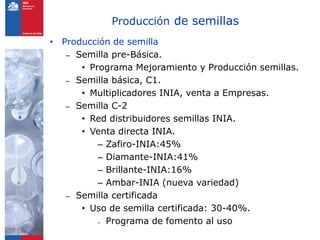 Producción de semillas
• Producción de semilla
   – Semilla pre-Básica.
      • Programa Mejoramiento y Producción semillas.
   – Semilla básica, C1.
      • Multiplicadores INIA, venta a Empresas.
   – Semilla C-2
      • Red distribuidores semillas INIA.
      • Venta directa INIA.
          – Zafiro-INIA:45%
          – Diamante-INIA:41%
          – Brillante-INIA:16%
          – Ambar-INIA (nueva variedad)
   – Semilla certificada
      • Uso de semilla certificada: 30-40%.
          – Programa de fomento al uso
 