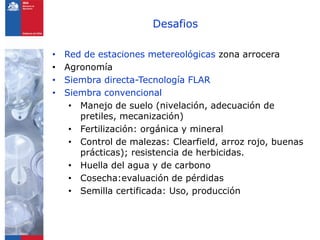 Desafios

•   Red de estaciones metereológicas zona arrocera
•   Agronomía
•   Siembra directa-Tecnología FLAR
•   Siembra convencional
     • Manejo de suelo (nivelación, adecuación de
       pretiles, mecanización)
     • Fertilización: orgánica y mineral
     • Control de malezas: Clearfield, arroz rojo, buenas
       prácticas); resistencia de herbicidas.
     • Huella del agua y de carbono
     • Cosecha:evaluación de pérdidas
     • Semilla certificada: Uso, producción
 