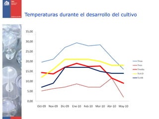 Temperaturas durante el desarrollo del cultivo
 