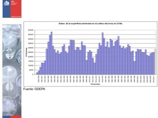 Nº Hectareas




                                             5000
                                                    10000
                                                            15000
                                                                    20000
                                                                            25000
                                                                                    30000
                                                                                            35000
                                                                                                    40000
                                                                                                            45000
                                                                                                                    50000




                                         0
                             1938-1939
                             1940-1941




Fuente: ODEPA
                             1942-1943

                             1944-1945
                             1946-1947
                             1948-1949
                             1950-1951
                             1952-1953
                             1954-1955
                             1956-1957
                             1958-1959

                             1960-1961
                             1962-1963
                             1964-1965
                             1966-1967
                             1968-1969
                             1970-1971
                             1972-1973

                             1974-1975
                Temporadas




                             1976-1977
                             1978-1979
                             1980-1981
                             1982-1983
                             1984-1985
                             1986-1987
                             1988-1989

                             1990-1991
                                                                                                                            Datos de la superficie sembrada en el cultivo del arroz en Chile.




                             1992-1993
                             1994-1995
                             1996-1997
                             1998-1999
                             2000-2001
                             2002-2003

                             2004-2005
                             2006-2007
                             2008-2009
                             2010-2011
 
