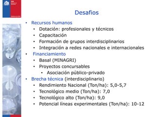 Programa de arroz Inia Chile