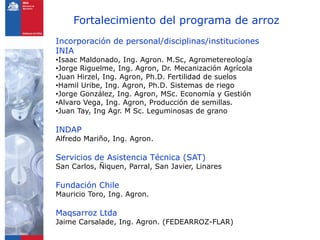 Programa de arroz Inia Chile