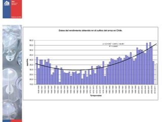 Programa de arroz Inia Chile