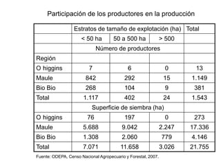 Programa de arroz Inia Chile