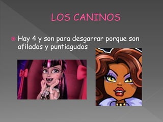  Hay 4 y son para desgarrar porque son
afilados y puntiagudos
 