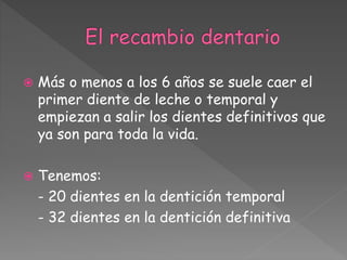  Más o menos a los 6 años se suele caer el
primer diente de leche o temporal y
empiezan a salir los dientes definitivos que
ya son para toda la vida.
 Tenemos:
- 20 dientes en la dentición temporal
- 32 dientes en la dentición definitiva
 