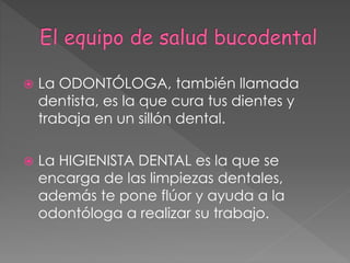  La ODONTÓLOGA, también llamada
dentista, es la que cura tus dientes y
trabaja en un sillón dental.
 La HIGIENISTA DENTAL es la que se
encarga de las limpiezas dentales,
además te pone flúor y ayuda a la
odontóloga a realizar su trabajo.
 