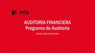 AUDITORIA FINANCIERA
Programa de Auditoría
Gustavo Mauricio Morales
 