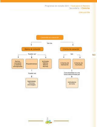 163
Programas de estudio 2011 / Guía para el Maestro
Secundaria / Ciencias
Contenidos de evaluación
Objetos de evaluación
Hechos,
conceptos
y sistemas
conceptuales
Procedimientos
Habilidades
Técnicas
Estrategias
Indicadores
de éxito
Criterios de
realización
Actitudes
Hábitos
Valores
Normas
Criterios de
resultados
Criterios de evaluación
Son los
Pueden ser
Pueden ser Son
Concretandose en una
tarea determinada por
EVALUACIÓN
 