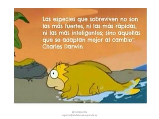 @molybonilla
mgarcia@andaluciaemprende.es
 