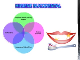 Cepillado dientes, encía y
lengua.
Medios
auxiliares.
Pasta dental ó dentífrico.
Clorhexidina
 