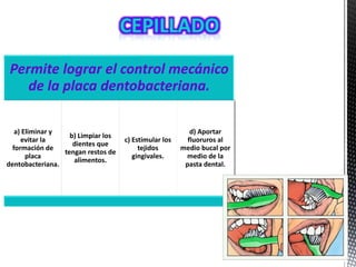 Permite lograr el control mecánico
de la placa dentobacteriana.
a) Eliminar y
evitar la
formación de
placa
dentobacteriana.
b) Limpiar los
dientes que
tengan restos de
alimentos.
c) Estimular los
tejidos
gingivales.
d) Aportar
fluoruros al
medio bucal por
medio de la
pasta dental.
 