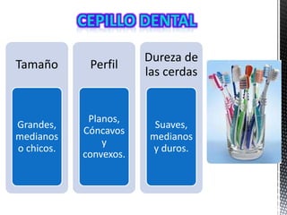 Tamaño
Grandes,
medianos
o chicos.
Perfil
Planos,
Cóncavos
y
convexos.
Dureza de
las cerdas
Suaves,
medianos
y duros.
 
