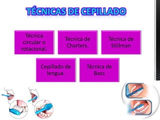 Técnica
circular o
rotacional.
Técnica de
Charters.
Técnica de
Stillman
Cepillado de
lengua.
Técnica de
Bass
 