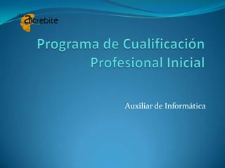 Programa de Cualificación Profesional Inicial Auxiliar de Informática 