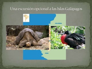 Una excursión opcional a las Islas Galápagos