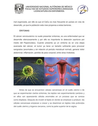 UNIVERSIDAD NACIONAL AUTÓNOMA DE MÉXICO
             FACULTAD DE ESTUDIOS SUPERIORES ZARAGOZA
                     LICENCIATURA EN ENFERMERÍA




mal organizada, por ello es que el CaCu es mas frecuente en países en vías de
desarrollo, ya que la población esta mas propensa a estas barreras.

      SÍNTOMAS

El cáncer cervicouterino no suele presentar síntomas, es una enfermedad que se
desarrolla silenciosamente y por ello es importante la detección oportuna por
medio del Papanicolaou. Cuando presenta ya un síntoma es en una etapa
avanzada del cáncer, el tumor ya tiene un tamaño suficiente para provocar
sangrados (anormales y sin relación al periodo menstrual normal), generar dolor
abdominal, inflamación, perdida de peso corporal, entre otras molestias.




      Antes de que se encuentren células cancerosas en el cuello uterino o de
que se experimenten ciertos síntomas, los tejidos van experimentando cambios y
en ellos van apareciendo células anormales en un proceso que se conoce
como displasia. Después de invadir el tejido en donde se empiezan a producir, las
células cancerosas empiezan a crecer y se diseminan en tejidos más profundos
del cuello uterino y órganos cercanos, como la parte superior de la vagina.
 