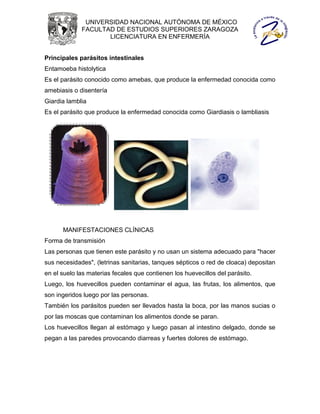 UNIVERSIDAD NACIONAL AUTÓNOMA DE MÉXICO
             FACULTAD DE ESTUDIOS SUPERIORES ZARAGOZA
                    LICENCIATURA EN ENFERMERÍA


Principales parásitos intestinales
Entamoeba histolytica
Es el parásito conocido como amebas, que produce la enfermedad conocida como
amebiasis o disentería
Giardia lamblia
Es el parásito que produce la enfermedad conocida como Giardiasis o lambliasis




      MANIFESTACIONES CLÍNICAS
Forma de transmisión
Las personas que tienen este parásito y no usan un sistema adecuado para "hacer
sus necesidades", (letrinas sanitarias, tanques sépticos o red de cloaca) depositan
en el suelo las materias fecales que contienen los huevecillos del parásito.
Luego, los huevecillos pueden contaminar el agua, las frutas, los alimentos, que
son ingeridos luego por las personas.
También los parásitos pueden ser llevados hasta la boca, por las manos sucias o
por las moscas que contaminan los alimentos donde se paran.
Los huevecillos llegan al estómago y luego pasan al intestino delgado, donde se
pegan a las paredes provocando diarreas y fuertes dolores de estómago.
 