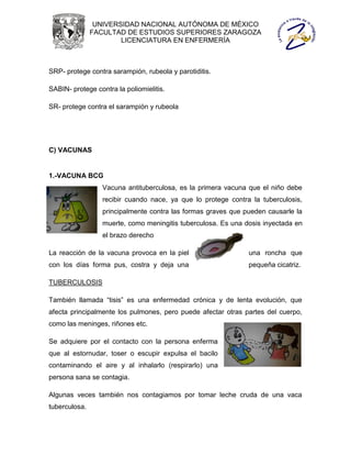UNIVERSIDAD NACIONAL AUTÓNOMA DE MÉXICO
               FACULTAD DE ESTUDIOS SUPERIORES ZARAGOZA
                       LICENCIATURA EN ENFERMERÍA



SRP- protege contra sarampión, rubeola y parotiditis.

SABIN- protege contra la poliomielitis.

SR- protege contra el sarampión y rubeola




C) VACUNAS


1.-VACUNA BCG
                  Vacuna antituberculosa, es la primera vacuna que el niño debe
                  recibir cuando nace, ya que lo protege contra la tuberculosis,
                  principalmente contra las formas graves que pueden causarle la
                  muerte, como meningitis tuberculosa. Es una dosis inyectada en
                  el brazo derecho

La reacción de la vacuna provoca en la piel                    una roncha que
con los días forma pus, costra y deja una                      pequeña cicatriz.

TUBERCULOSIS

También llamada “tisis” es una enfermedad crónica y de lenta evolución, que
afecta principalmente los pulmones, pero puede afectar otras partes del cuerpo,
como las meninges, riñones etc.

Se adquiere por el contacto con la persona enferma
que al estornudar, toser o escupir expulsa el bacilo
contaminando el aire y al inhalarlo (respirarlo) una
persona sana se contagia.

Algunas veces también nos contagiamos por tomar leche cruda de una vaca
tuberculosa.
 