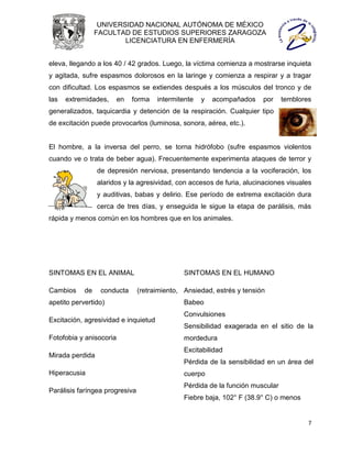 UNIVERSIDAD NACIONAL AUTÓNOMA DE MÉXICO
                 FACULTAD DE ESTUDIOS SUPERIORES ZARAGOZA
                         LICENCIATURA EN ENFERMERÍA


eleva, llegando a los 40 / 42 grados. Luego, la víctima comienza a mostrarse inquieta
y agitada, sufre espasmos dolorosos en la laringe y comienza a respirar y a tragar
con dificultad. Los espasmos se extiendes después a los músculos del tronco y de
las   extremidades,      en   forma   intermitente   y   acompañados    por     temblores
generalizados, taquicardia y detención de la respiración. Cualquier tipo
de excitación puede provocarlos (luminosa, sonora, aérea, etc.).


El hombre, a la inversa del perro, se torna hidrófobo (sufre espasmos violentos
cuando ve o trata de beber agua). Frecuentemente experimenta ataques de terror y
                 de depresión nerviosa, presentando tendencia a la vociferación, los
                 alaridos y la agresividad, con accesos de furia, alucinaciones visuales
                 y auditivas, babas y delirio. Ese período de extrema excitación dura
                 cerca de tres días, y enseguida le sigue la etapa de parálisis, más
rápida y menos común en los hombres que en los animales.




SINTOMAS EN EL ANIMAL                          SINTOMAS EN EL HUMANO

Cambios     de    conducta      (retraimiento, Ansiedad, estrés y tensión
apetito pervertido)                            Babeo
                                               Convulsiones
Excitación, agresividad e inquietud
                                               Sensibilidad exagerada en el sitio de la
Fotofobia y anisocoria                         mordedura
                                               Excitabilidad
Mirada perdida
                                               Pérdida de la sensibilidad en un área del
Hiperacusia                                    cuerpo
                                               Pérdida de la función muscular
Parálisis faríngea progresiva
                                               Fiebre baja, 102° F (38.9° C) o menos


                                                                                        7
 