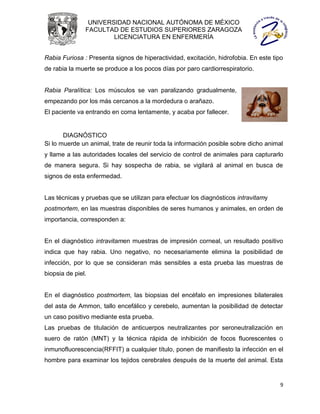 UNIVERSIDAD NACIONAL AUTÓNOMA DE MÉXICO
               FACULTAD DE ESTUDIOS SUPERIORES ZARAGOZA
                       LICENCIATURA EN ENFERMERÍA


Rabia Furiosa : Presenta signos de hiperactividad, excitación, hidrofobia. En este tipo
de rabia la muerte se produce a los pocos días por paro cardiorrespiratorio.


Rabia Paralítica: Los músculos se van paralizando gradualmente,
empezando por los más cercanos a la mordedura o arañazo.
El paciente va entrando en coma lentamente, y acaba por fallecer.


       DIAGNÓSTICO
Si lo muerde un animal, trate de reunir toda la información posible sobre dicho animal
y llame a las autoridades locales del servicio de control de animales para capturarlo
de manera segura. Si hay sospecha de rabia, se vigilará al animal en busca de
signos de esta enfermedad.


Las técnicas y pruebas que se utilizan para efectuar los diagnósticos intravitamy
postmortem, en las muestras disponibles de seres humanos y animales, en orden de
importancia, corresponden a:


En el diagnóstico intravitamen muestras de impresión corneal, un resultado positivo
indica que hay rabia. Uno negativo, no necesariamente elimina la posibilidad de
infección, por lo que se consideran más sensibles a esta prueba las muestras de
biopsia de piel.


En el diagnóstico postmortem, las biopsias del encéfalo en impresiones bilaterales
del asta de Ammon, tallo encefálico y cerebelo, aumentan la posibilidad de detectar
un caso positivo mediante esta prueba.
Las pruebas de titulación de anticuerpos neutralizantes por seroneutralización en
suero de ratón (MNT) y la técnica rápida de inhibición de focos fluorescentes o
inmunofluorescencia(RFFIT) a cualquier título, ponen de manifiesto la infección en el
hombre para examinar los tejidos cerebrales después de la muerte del animal. Esta


                                                                                      9
 