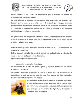 UNIVERSIDAD NACIONAL AUTÓNOMA DE MÉXICO
               FACULTAD DE ESTUDIOS SUPERIORES ZARAGOZA
                       LICENCIATURA EN ENFERMERÍA


todavía inferior a 0.5 U.I./mL, se recomienda que el individuo no labore en
actividades con exposición al virus.
Se debe efectuar la titulación de anticuerpos cada seis meses en personas que
trabajan con el virus y, cada año, entre el personal que manipula animales
potencialmente transmisores; en ambos casos, si los niveles de anticuerpos están
por debajo de la cifra indicada, se aplicará otra dosis, repitiéndose el procedimiento
de titulación para verificar su incremento.


La aplicación de inmunoglobulina antirrábica humana, debe hacerse lo más cercano
al día de la agresión, de no ser así no importa el intervalo transcurrido, ministrándose
en niños y adultos como sigue:


Inyectar inmunoglobulina antirrábica humana, a razón de 20 U.I. por kilogramo de
peso, como dosis única.
Infiltrar alrededor de la herida, si ésta lo permite por su localización y extensión, la
mitad de la dosis total que requiere el paciente.
Aplicar el resto por vía intramuscular.


      Vacunación en animales domésticos
La prevención de la rabia en perros, gatos y especies domésticas de interés
económico, comprende:
Vacunación antirrábica obligatoria de perros y gatos por vía intramuscular o
subcutánea, a partir del primer mes de edad (con vacuna de tipo inactivado).
Revacunar cuando cumplan los tres meses.
                       En el caso de las especies domésticas de interés económico,
                       la vacunación debe ser anual, a partir del primer mes de edad,
                       por vía intramuscular, cumpliéndose además las disposiciones
                       que establece la Secretaría de Agricultura, Ganadería y
                       Desarrollo Rural, al respecto.


                                                                                     11
 